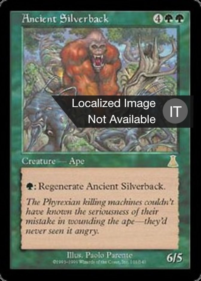 Ancient Silverback