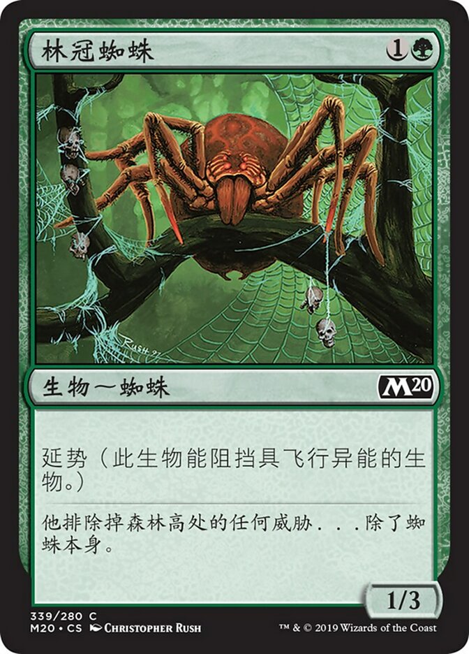 Canopy Spider