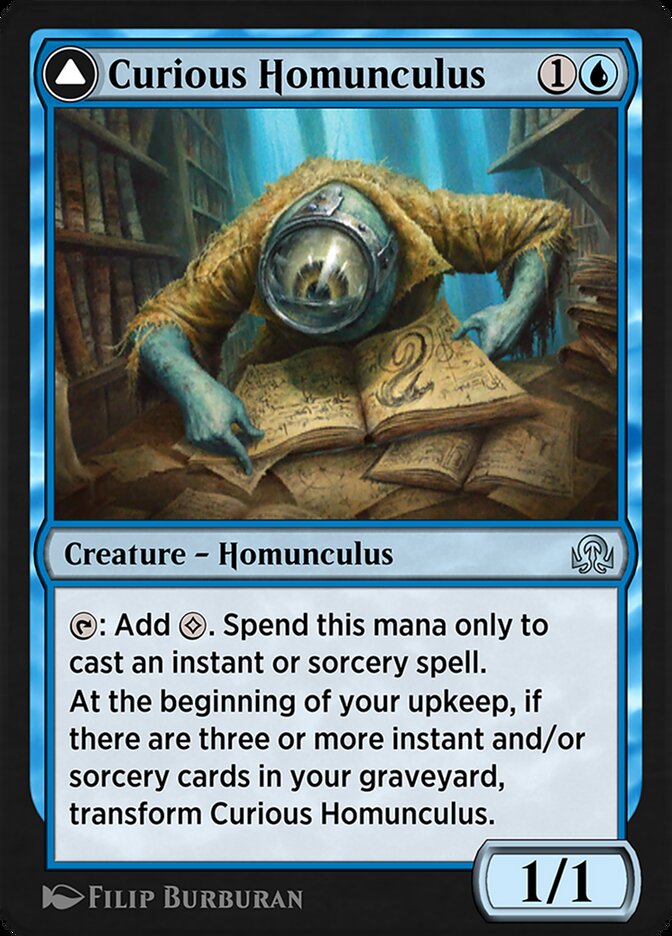 Curious Homunculus // Voracious Reader