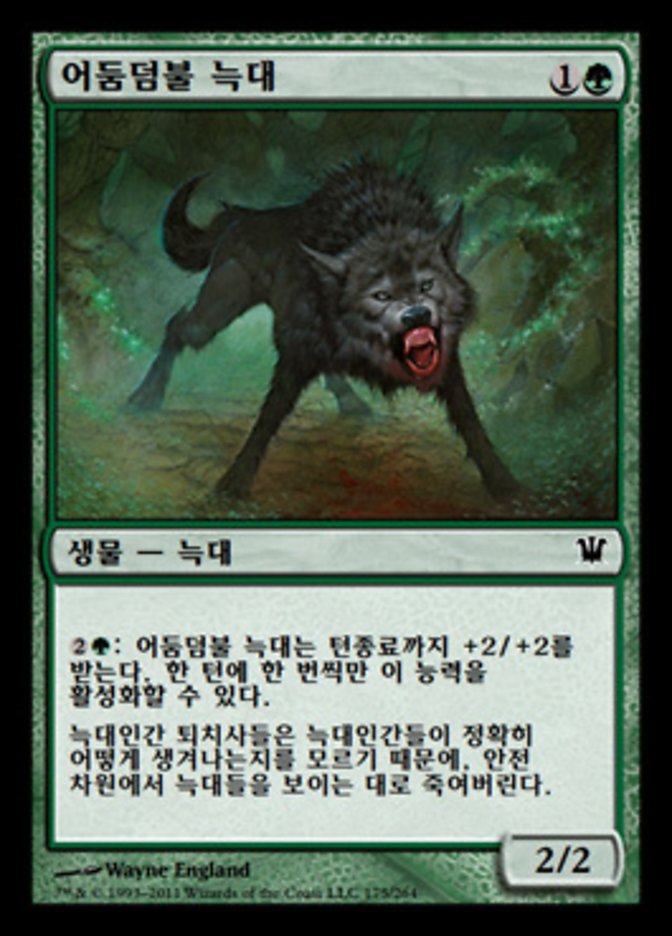 Darkthicket Wolf