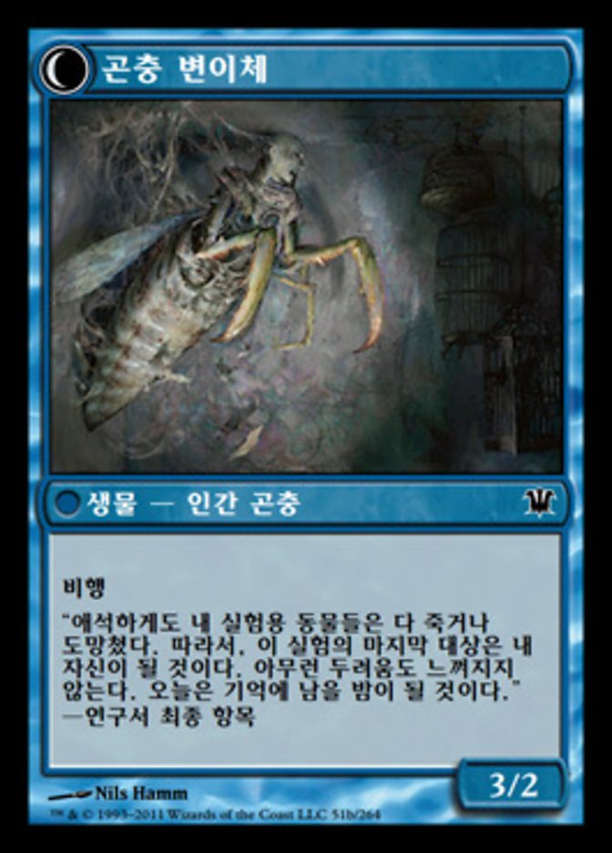 Delver of Secrets // Insectile Aberration