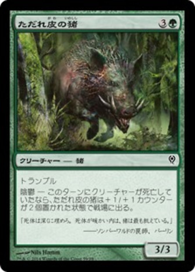 Festerhide Boar