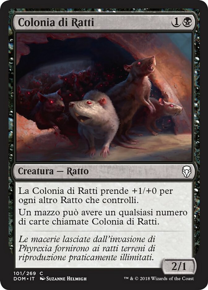 Rat Colony