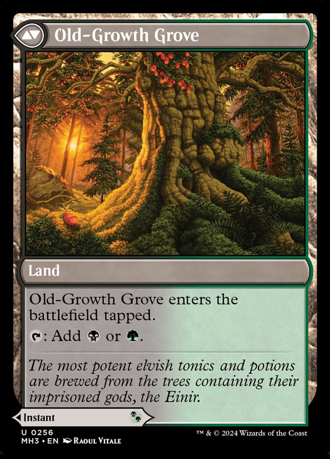 Revitalizing Repast // Old-Growth Grove