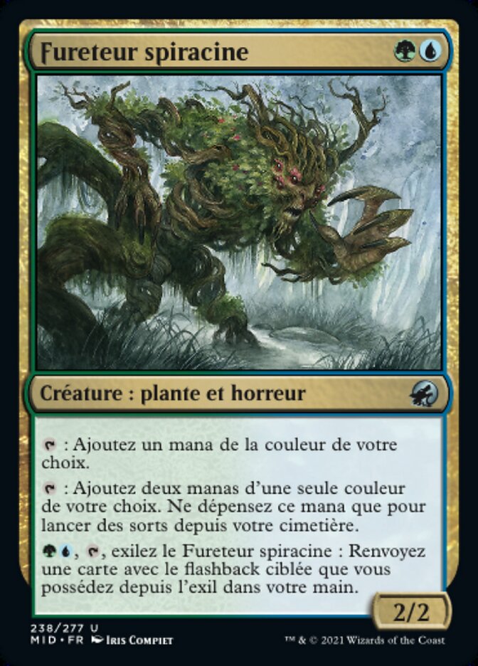 Rootcoil Creeper