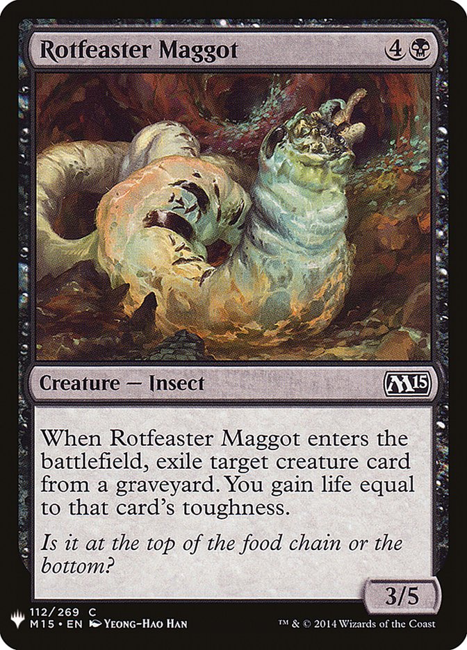 Rotfeaster Maggot