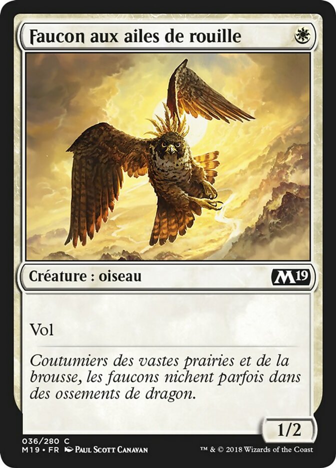 Rustwing Falcon