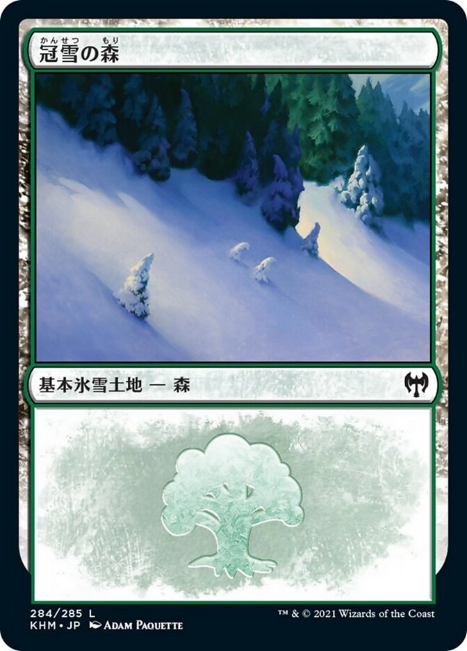 Snow-Covered Forest