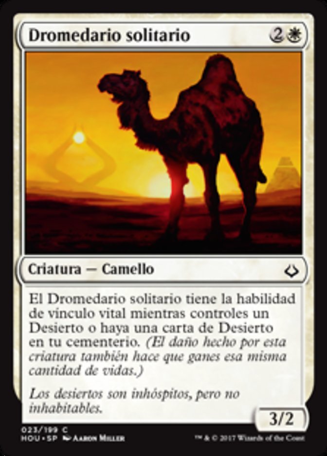 Solitary Camel