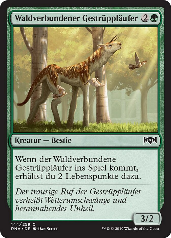 Sylvan Brushstrider