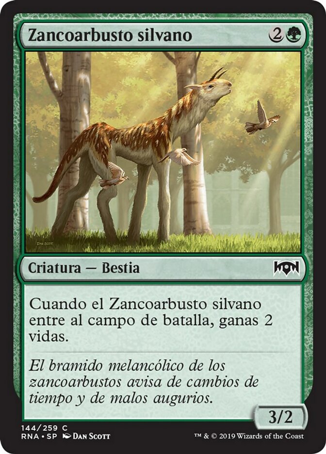 Sylvan Brushstrider