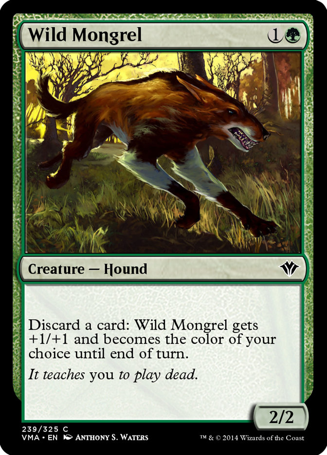 Wild Mongrel